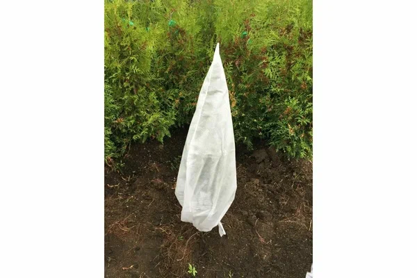Чехол-конус для кустов и деревьев, белый 250 х 160 см - 2 шт