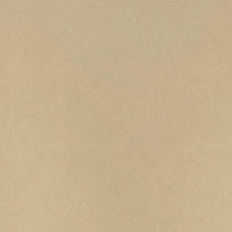 Флизелиновые обои Bernardo Bartalucci Legend 1.06x10 арт.5068-32