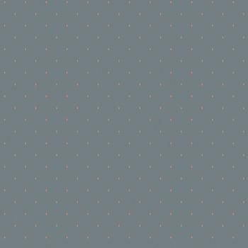 54312-6 Andrea Rossi Gallinara 1,06 х 10,05