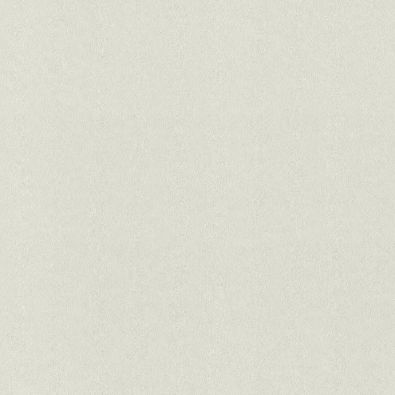 Виниловые обои на флизелиновой основе Rasch Gentle Elegance 1.06x10.05 арт.980325