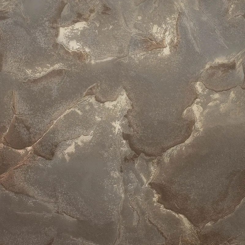 Виниловые обои на флизелиновой основе Bernardo Bartalucci Brigida 1.06x10 арт.84271-7