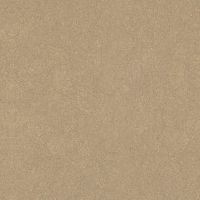 Флизелиновые обои Bernardo Bartalucci Legend 1.06x10 арт.5068-64