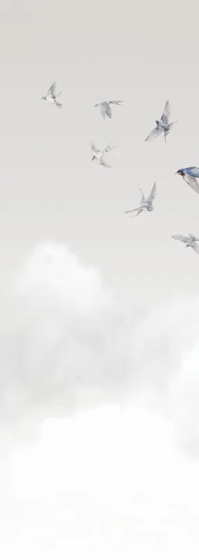 Флизелиновые обои Milassa Ambient vol3 x арт.AM11011/1