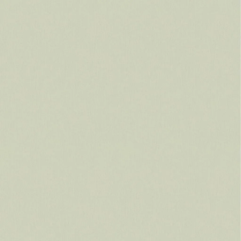 Виниловые обои на флизелиновой основе Fipar Modelli Di Luce 1.06x10.05 арт.R25537