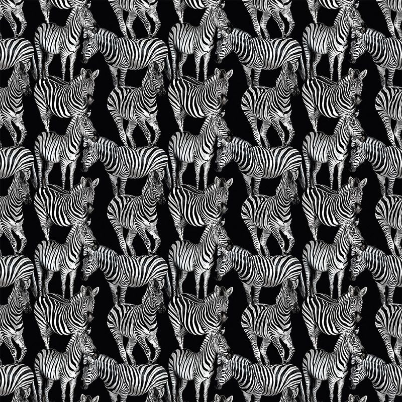 Виниловые фотообои Dolce&Gabbana №1 30148DGF