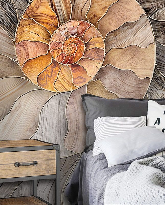 Фреска Графика Ракушка. Лофт. Современное искусство. ag0213