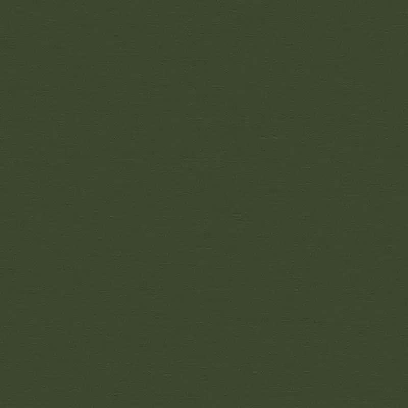 Флизелиновые обои Loymina Equator 1x10.05 арт.QTR8005/2