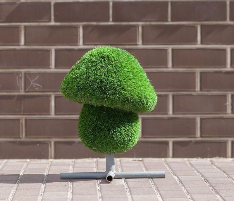 Гриб малый распродажа