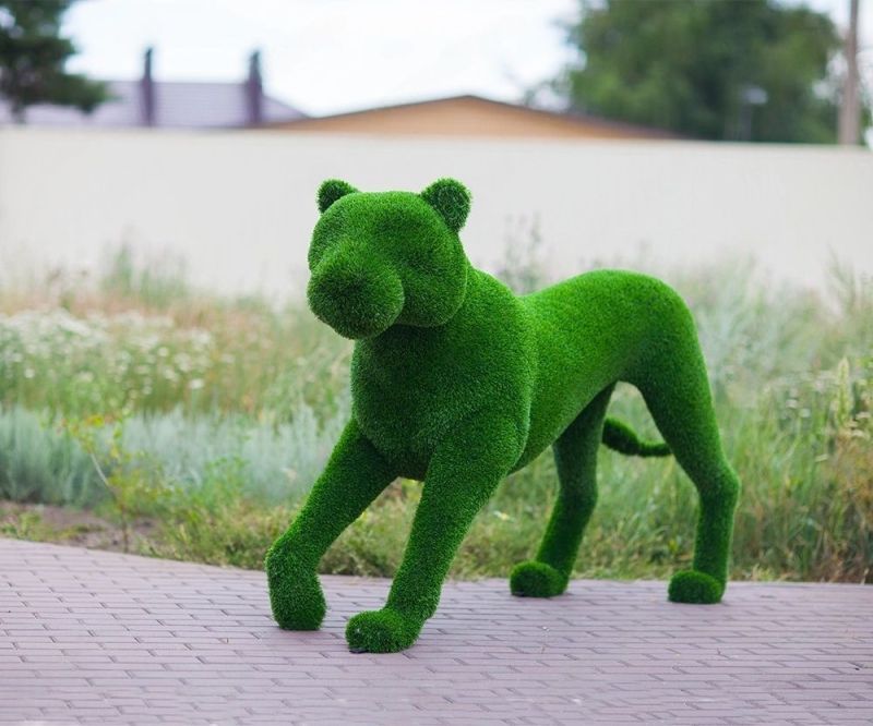 Топиарная Львица