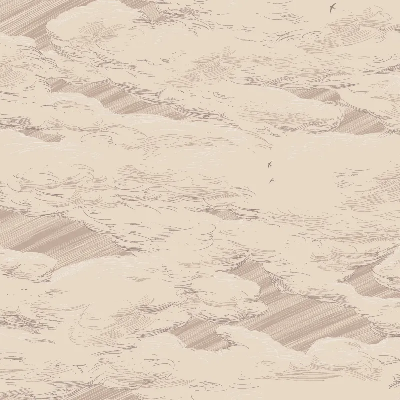 Флизелиновые обои Milassa Ambient vol3 1x10.05 арт.AM10003