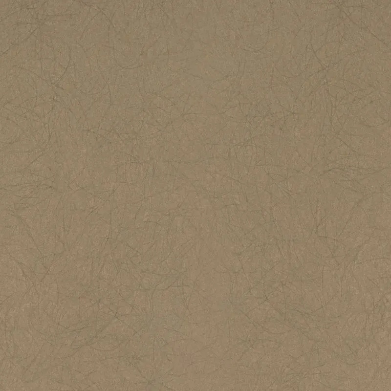 Флизелиновые обои Bernardo Bartalucci Legend 1.06x10 арт.5068-65