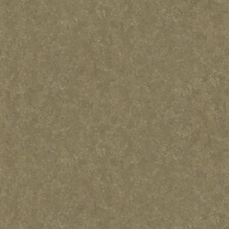 Виниловые обои на флизелиновой основе Emiliana Parati (Decori) Roberto Cavalli 8 1.06x10.05 арт.RC19053