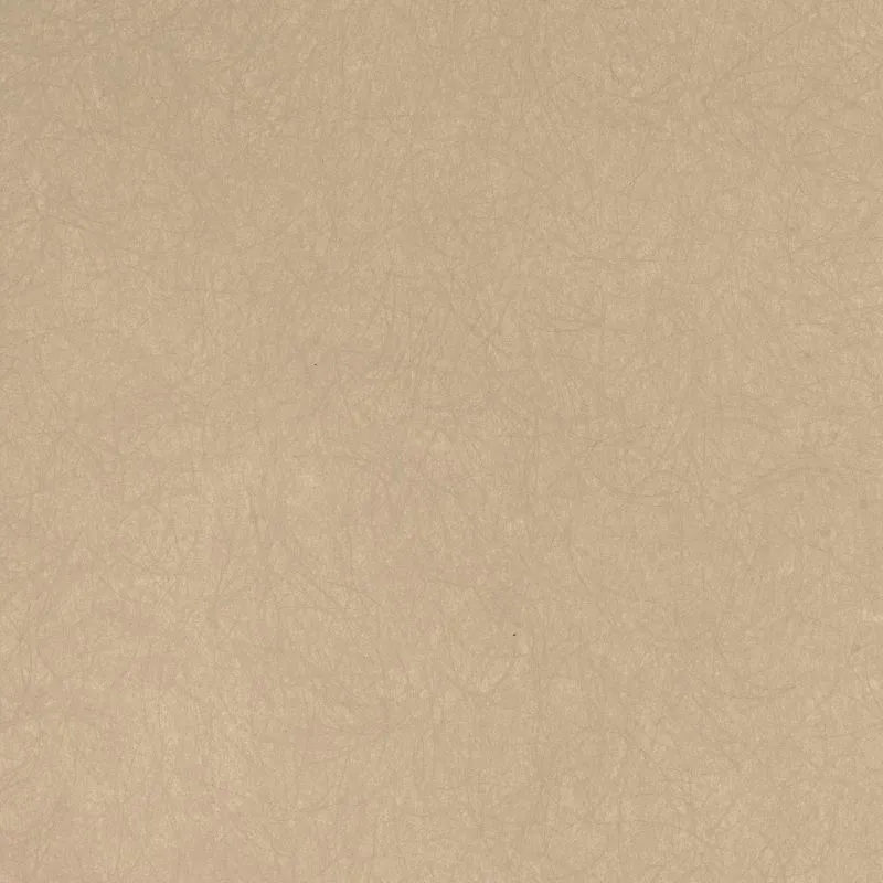 Флизелиновые обои Bernardo Bartalucci Legend 1.06x10 арт.5068-41