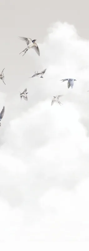 Флизелиновые обои Milassa Ambient vol3 x арт.AM11011/3