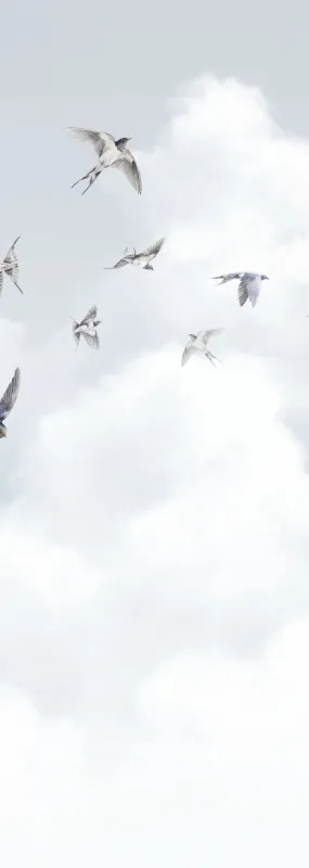 Флизелиновые обои Milassa Ambient vol3 x арт.AM11006/3