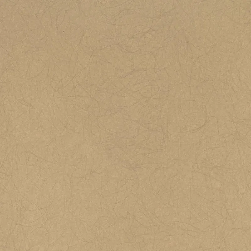 Флизелиновые обои Bernardo Bartalucci Legend 1.06x10 арт.5068-34