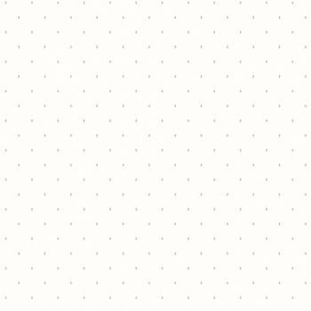 54312-1 Andrea Rossi Gallinara 1,06 х 10,05