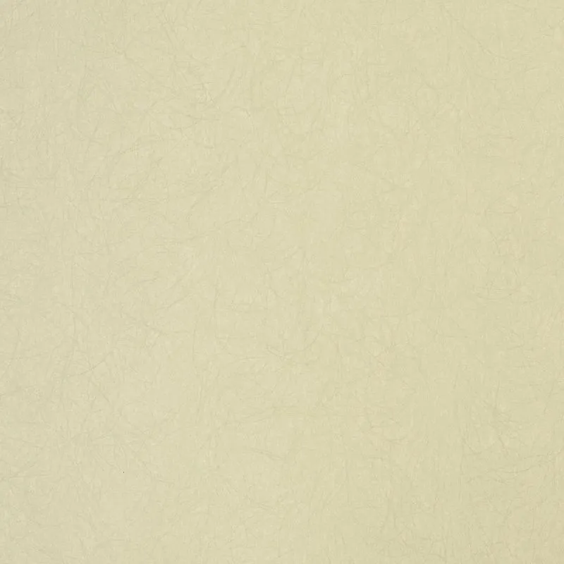 Флизелиновые обои Bernardo Bartalucci Legend 1.06x10 арт.5068-85