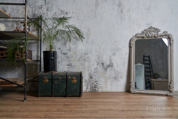 Дуб Брюссель