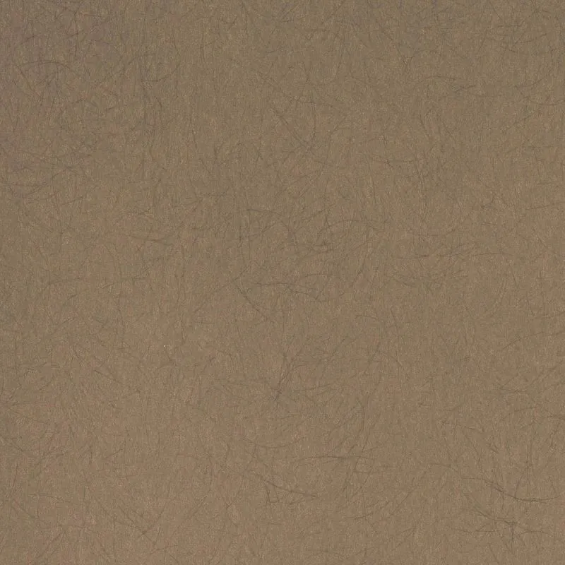 Флизелиновые обои Bernardo Bartalucci Legend 1.06x10 арт.5068-38