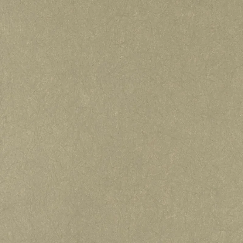 Флизелиновые обои Bernardo Bartalucci Legend 1.06x10 арт.5068-70