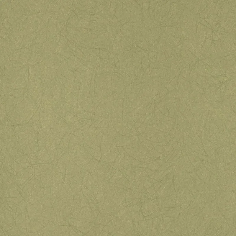 Флизелиновые обои Bernardo Bartalucci Legend 1.06x10 арт.5068-46