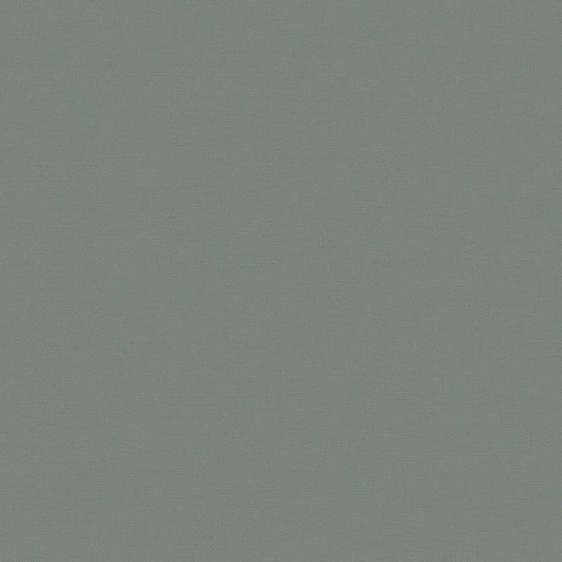 Флизелиновые обои Loymina Equator 1x10.05 арт.QTR8006/1