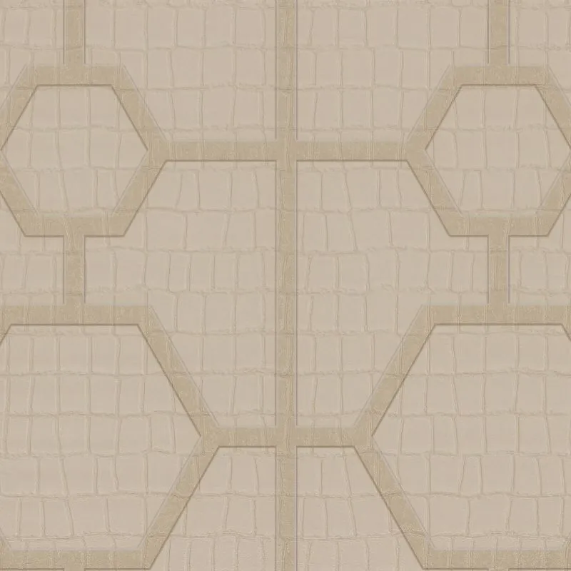 Виниловые обои на флизелиновой основе Zambaiti Philipp Plein 1.06x10.05 арт.Z80030