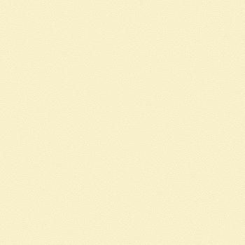 54310-4 Andrea Rossi Gallinara 1,06 х 10,05