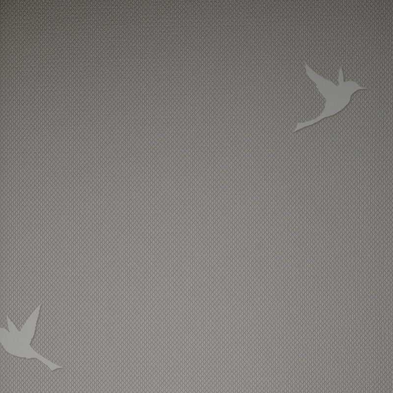 54458-4 Andrea Rossi Spectrum Box 1,06 x 10,05