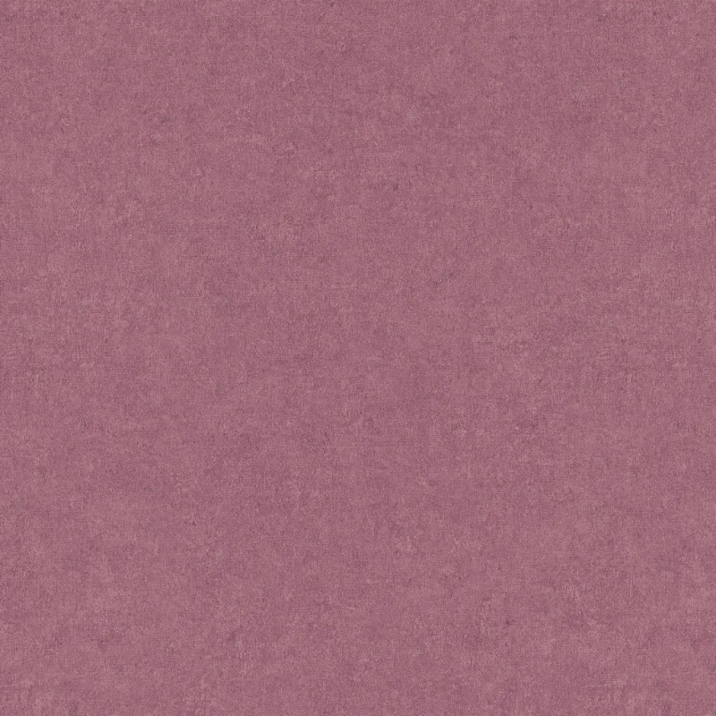 Виниловые обои на флизелиновой основе Erismann Gentle 1.06x10.05 арт.ER12207-06