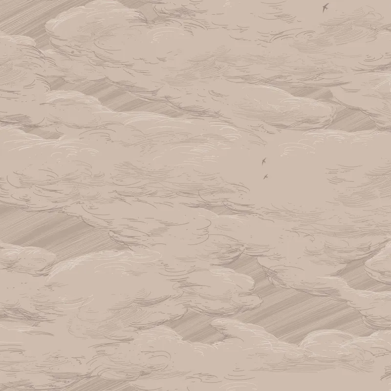 Флизелиновые обои Milassa Ambient vol3 1x10.05 арт.AM10002