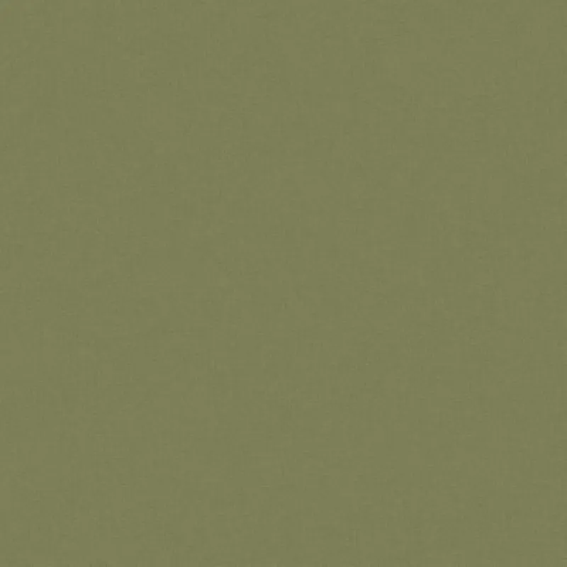 Флизелиновые обои Loymina Origins 1x10.05 арт.ALS10005/2