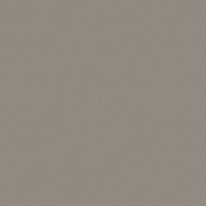 Флизелиновые обои Loymina Equator 1x10.05 арт.QTR8008