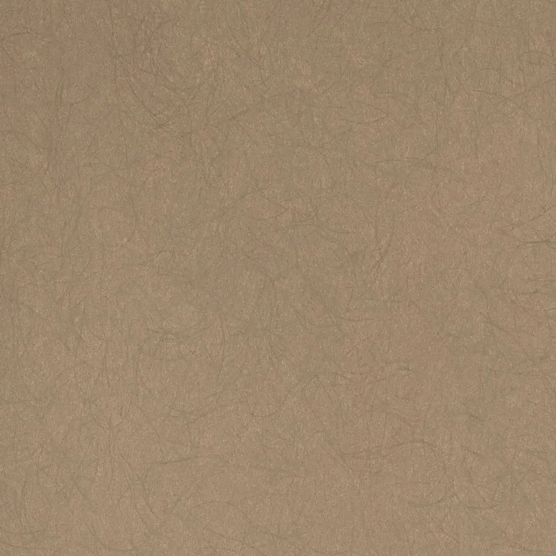 Флизелиновые обои Bernardo Bartalucci Legend 1.06x10 арт.5068-39