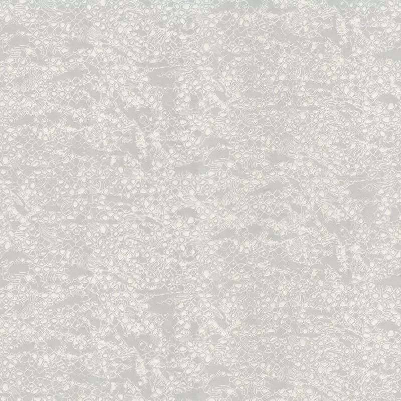 Виниловые обои на флизелиновой основе Emiliana Parati (Decori) Roberto Cavalli 8 1.06x10.05 арт.RC19034