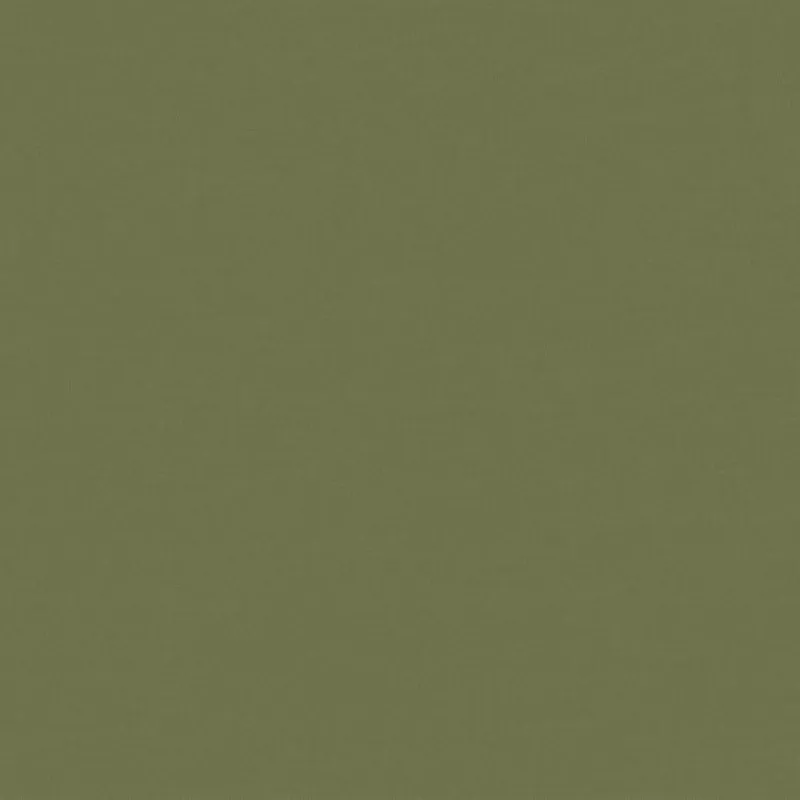 Флизелиновые обои Loymina Origins 1x10.05 арт.ALS8005/1