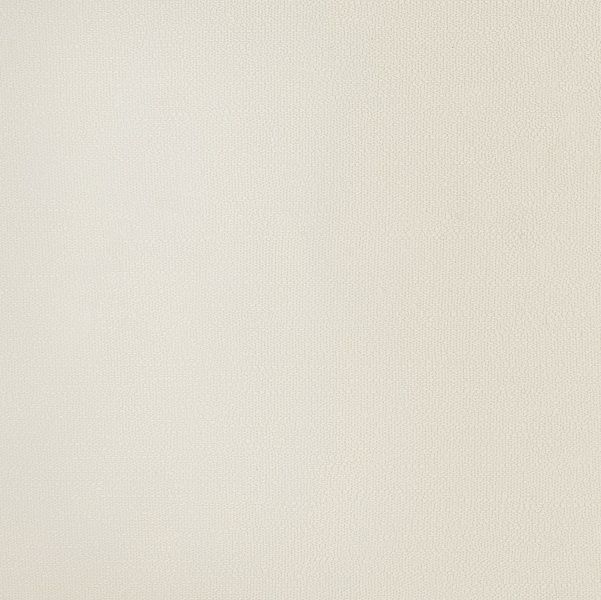 54353-5 Andrea Rossi Spectrum+ 1,06 x 10,05