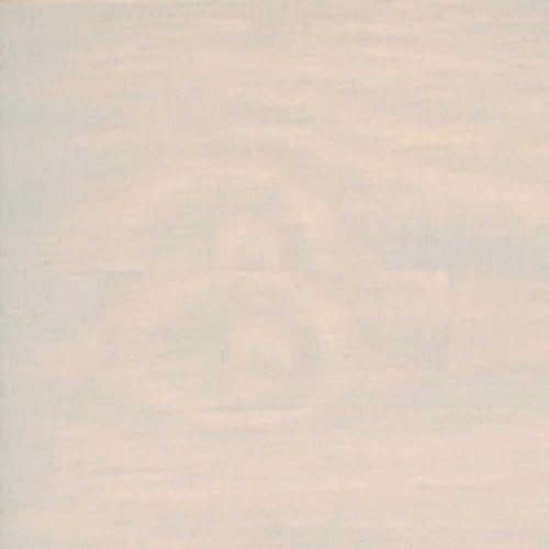 Масло защитное Biofa (Агат) матовое 10 л