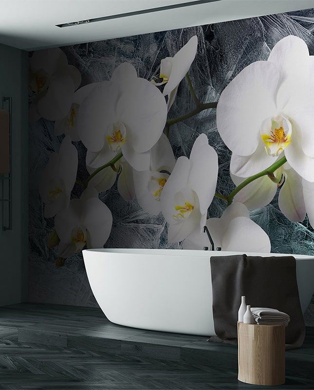 Фреска Графика Орхидеи на льду. Современное искусство. ag0344