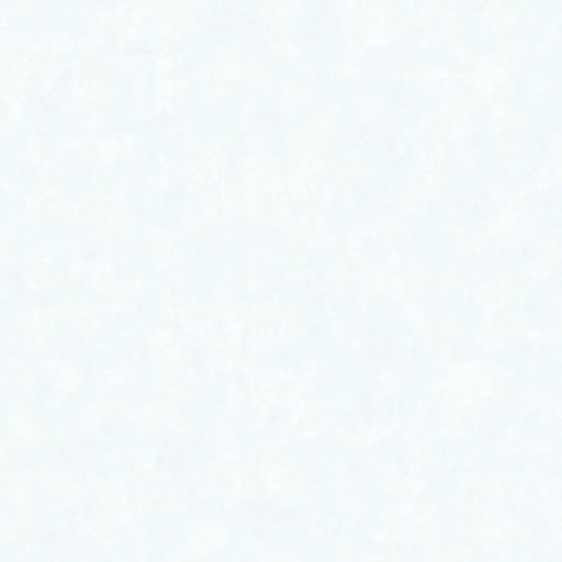 Флизелиновые обои Bernardo Bartalucci Bigi 1.06x10 арт.5067-5