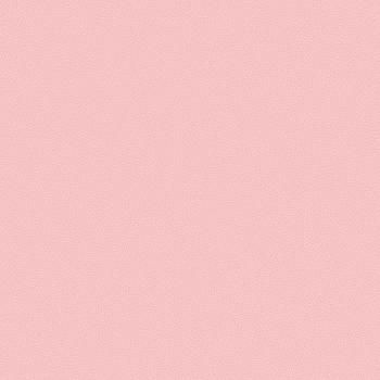 54310-7 Andrea Rossi Gallinara 1,06 х 10,05