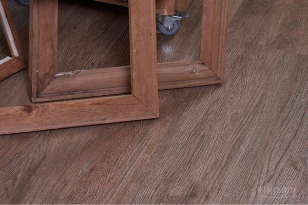 Дуб Оливковый