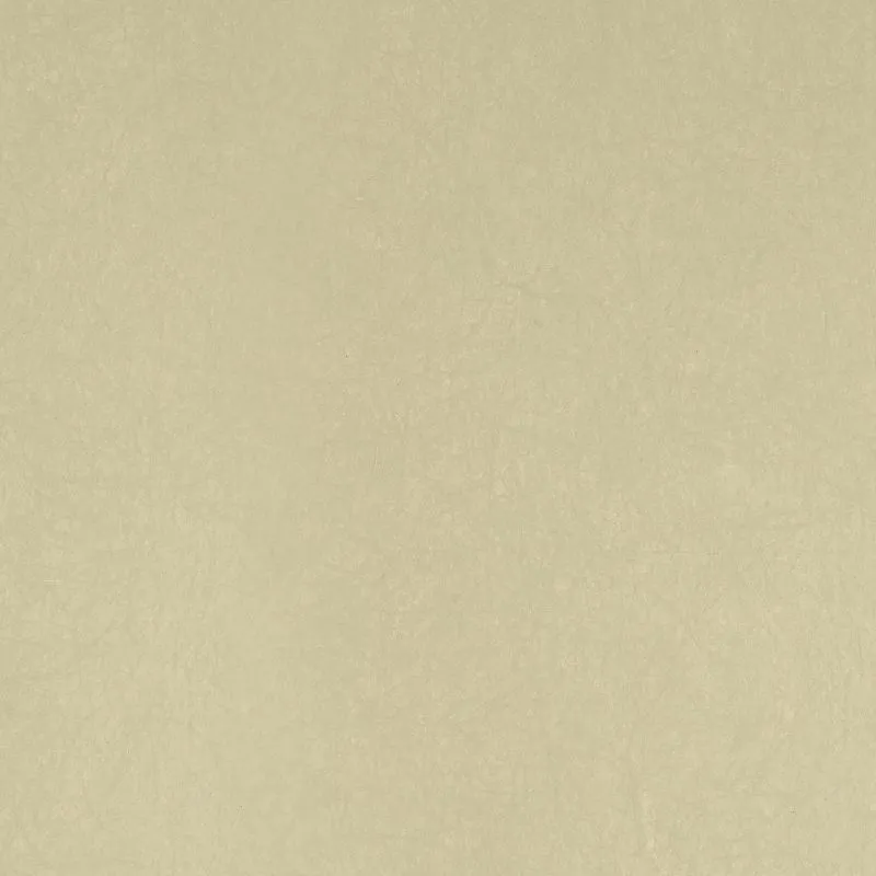 Флизелиновые обои Bernardo Bartalucci Legend 1.06x10 арт.5068-43