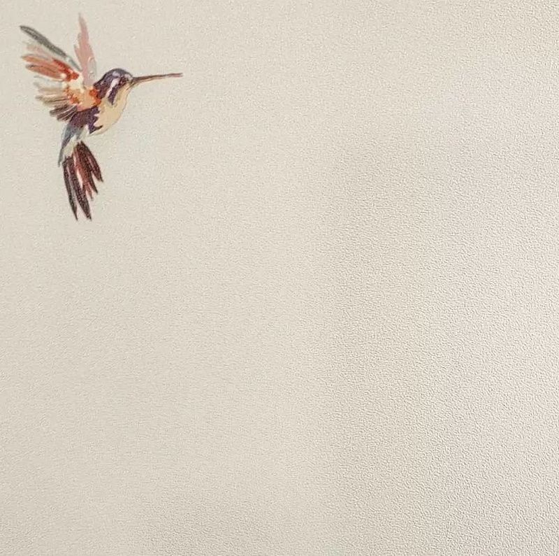 54356-3 Andrea Rossi Spectrum+ 1,06 x 10,05