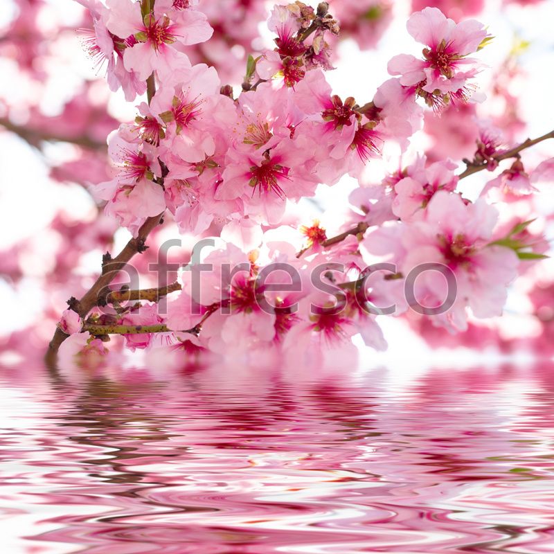 Фреска Сакура у воды, арт. ID12660