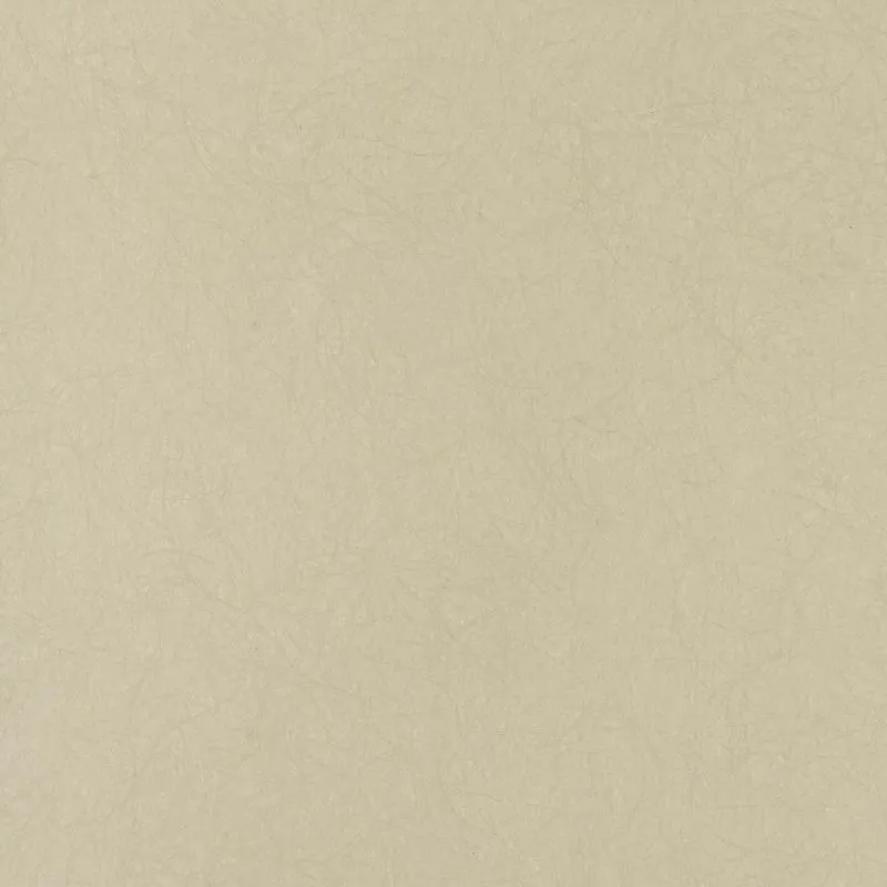 Флизелиновые обои Bernardo Bartalucci Legend 1.06x10 арт.5068-68