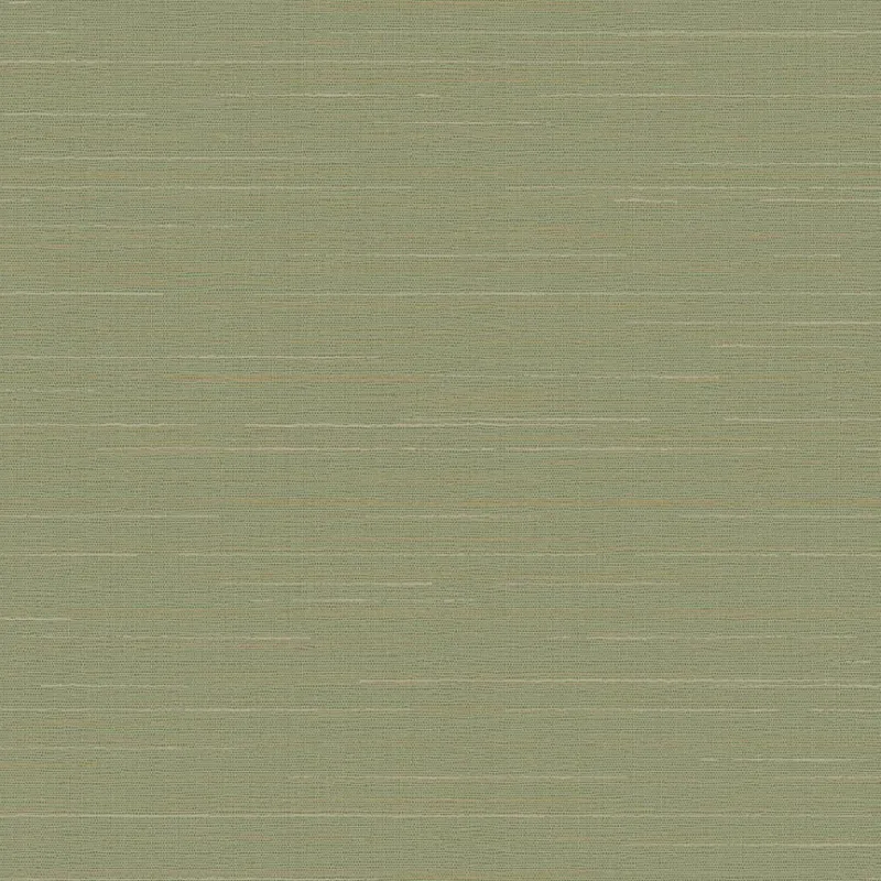 Флизелиновые обои Loymina Amazonia 1x10.5 арт.Ins9005/1