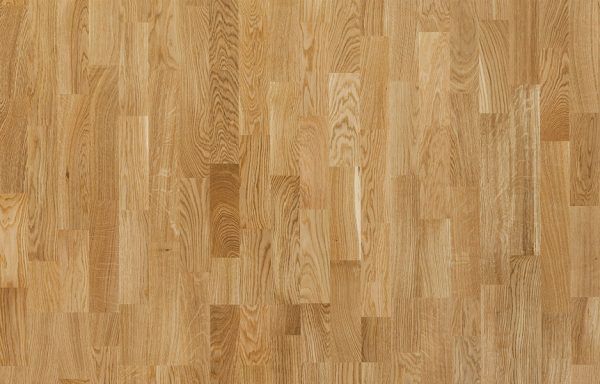 Дуб Шарминг