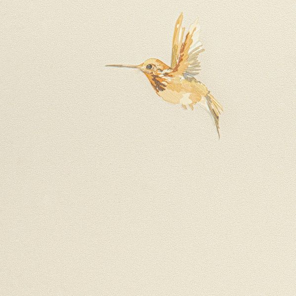 54356-2 Andrea Rossi Spectrum+ 1,06 x 10,05